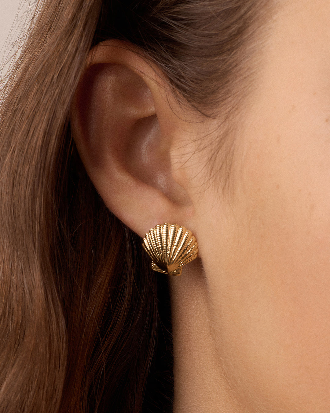 Shell Statement Studs