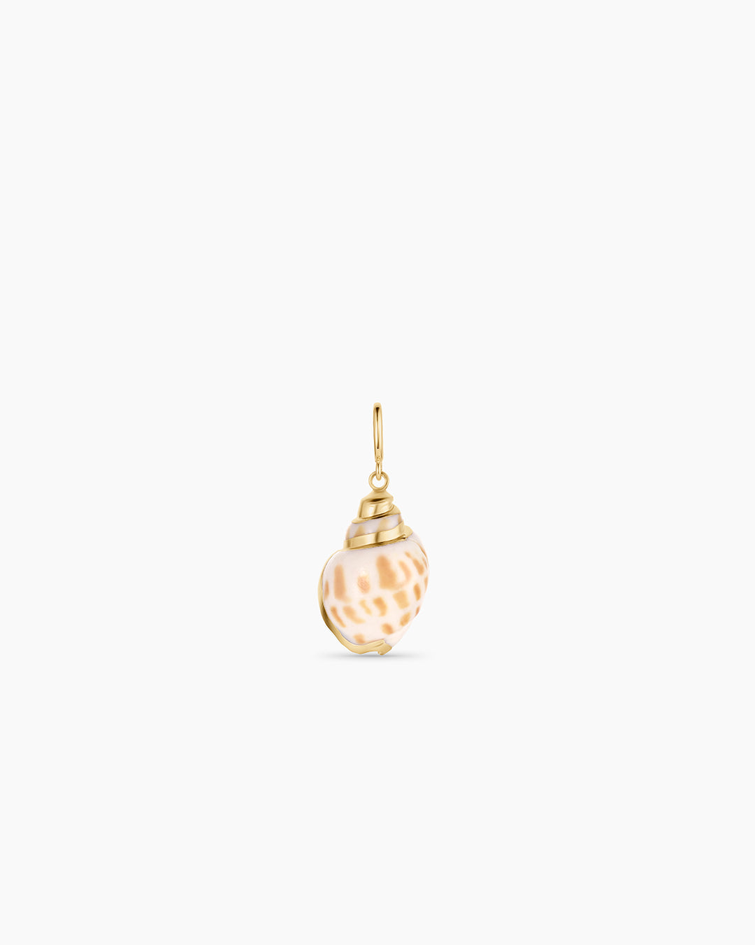 Tulip Shell Parker Charm