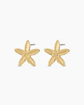Starfish Statement Earrings